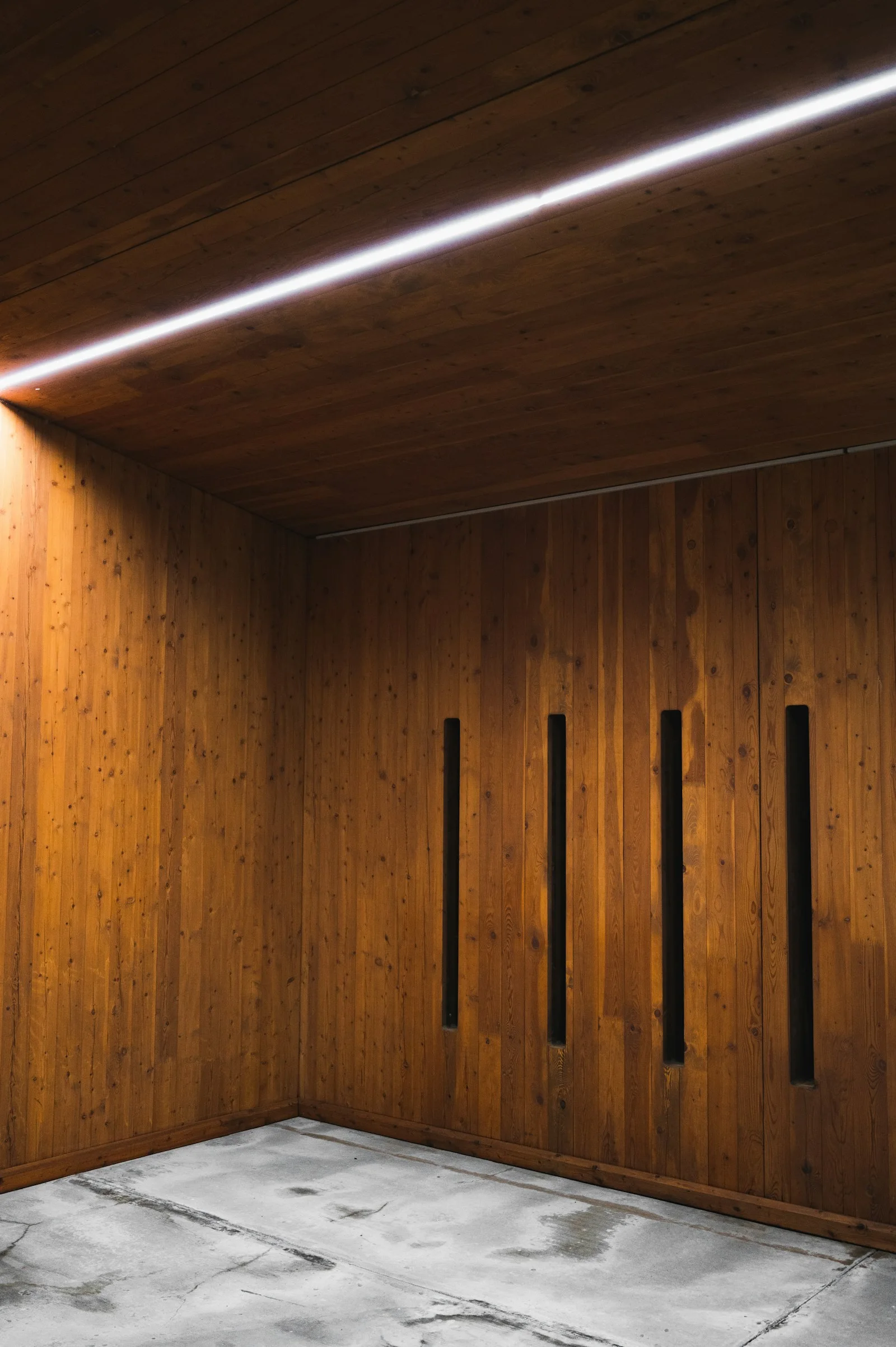 Timber-lined interior with natural light
